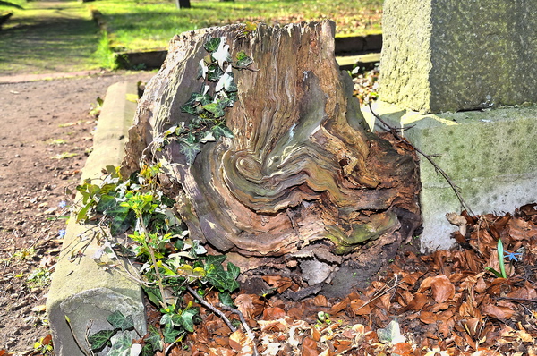 Fruehling2012   059.jpg